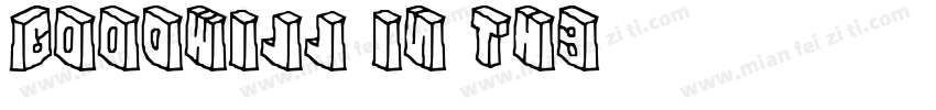 Goodwill in the字体转换